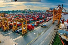 جزئیات آمار واردات نهاده های دامی در 8 ماهه 1400